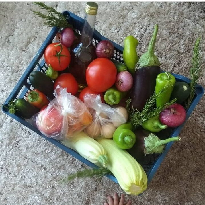 vegetable and fruits from basta.me offered witthin renaul traffic van solino